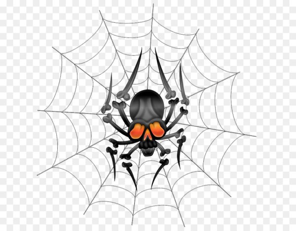 Паук на паутине