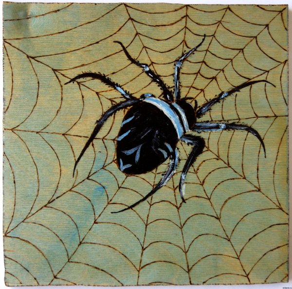Картины пауков