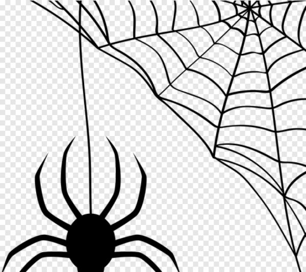 Паук в графике