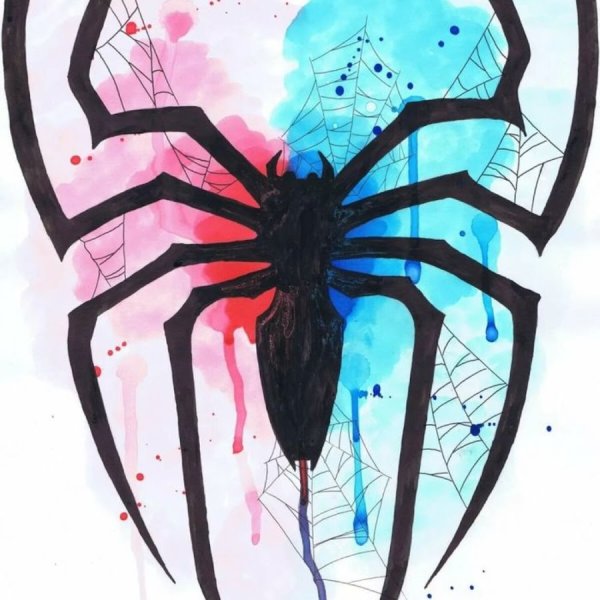Паук арт