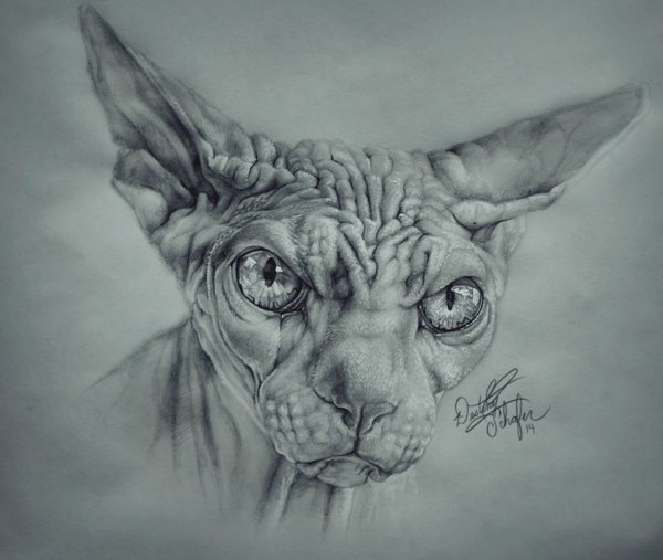 Сфинкс карандашом