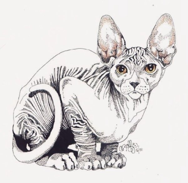 Эскизы сфинксов