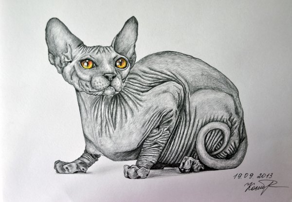 Сфинкс карандашом