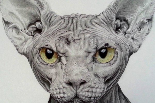 Сфинкс рисунок