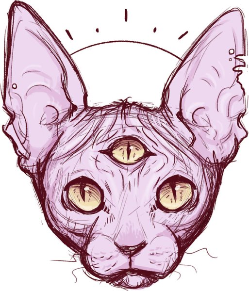 Трёхглазая кошка арт