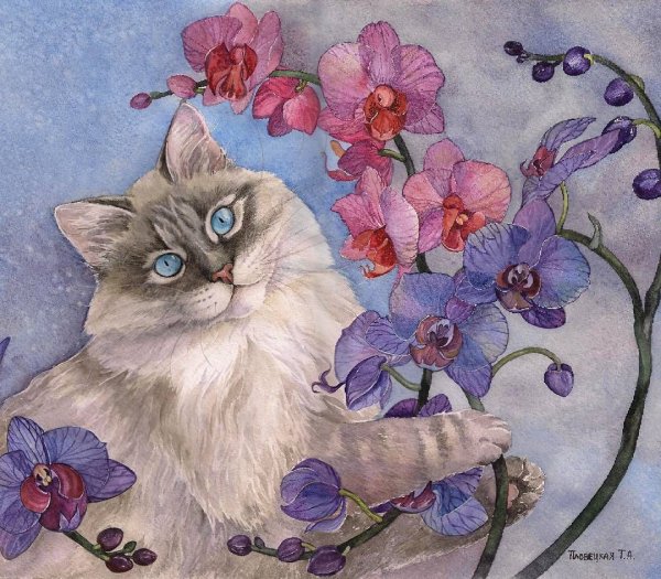 Пловецкая Татьяна художник