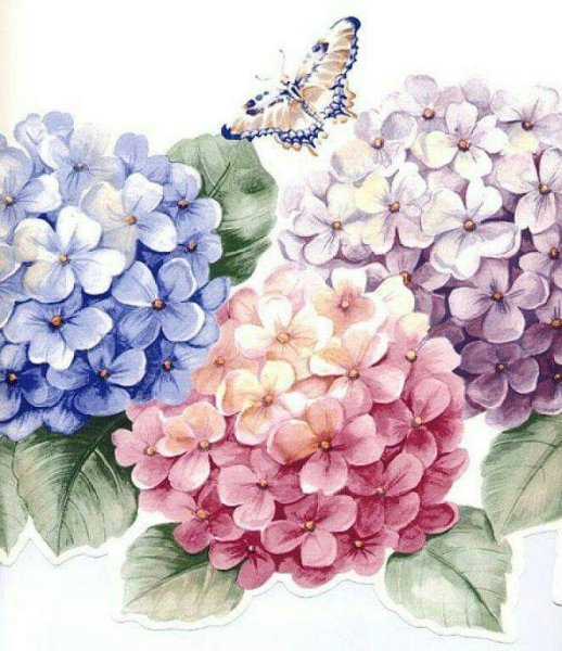 Акварельные рисунки