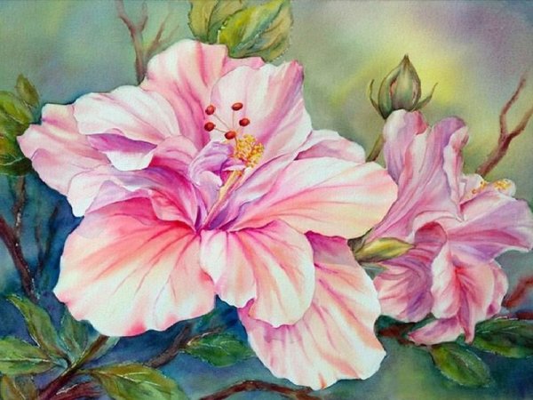 Елена Сениченко картины