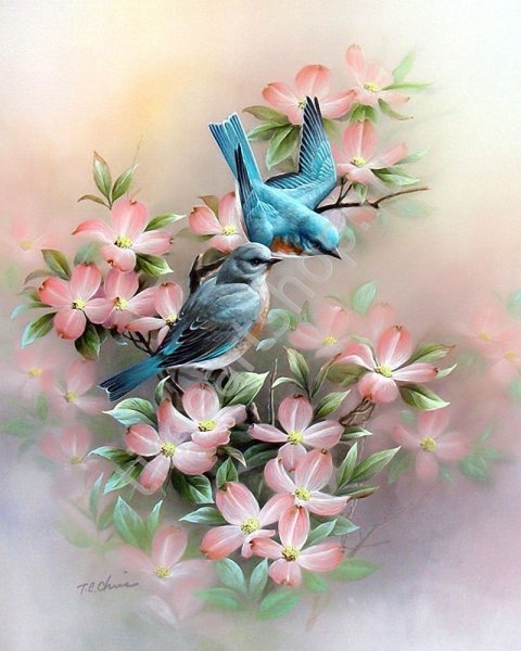 Радужная лошадь