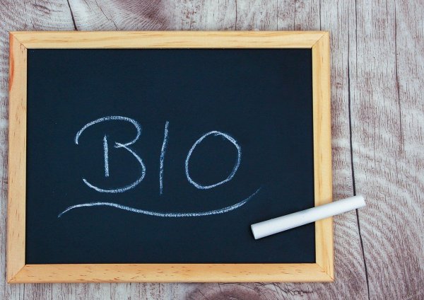 Фотосессия у доски