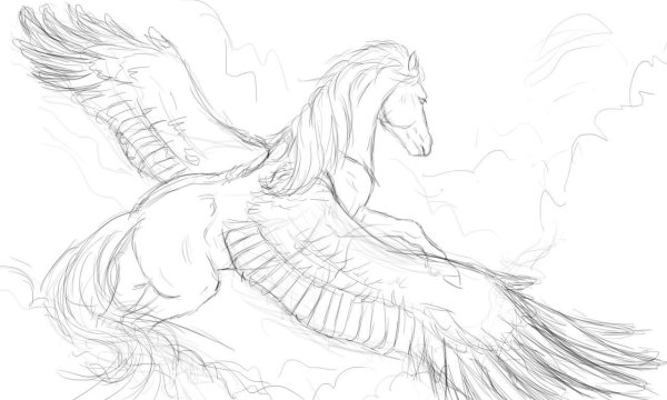 Нарисовать лошадь с крыльями