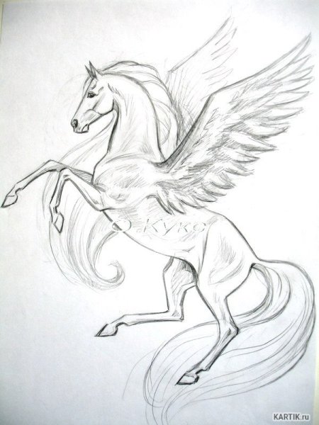 Пегас карандашом для срисовки