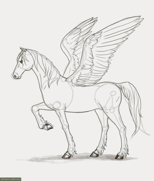 Пегас рисунок карандашом