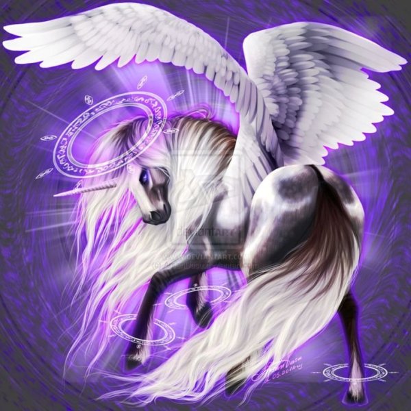 Единорог Пегас Аликорн