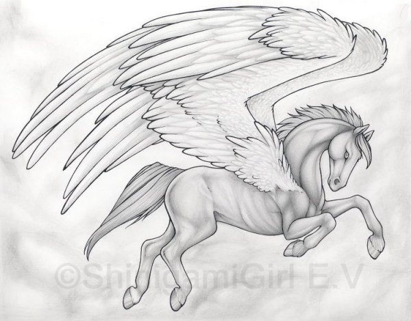Лошадь с крыльями карандашом