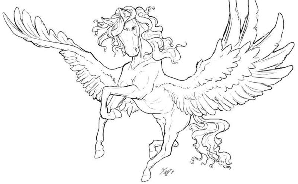 Раскраска Пегас Единорог