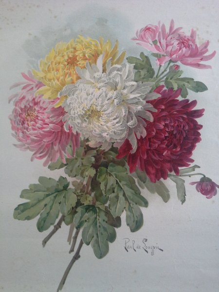 Пауль де Лонгпре хризантемы