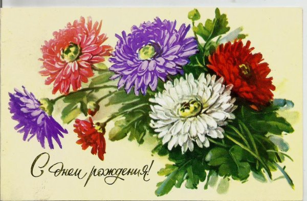 Открытки с астрами