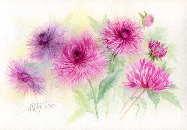 Акварель Anne-Marie Party-Bluteau