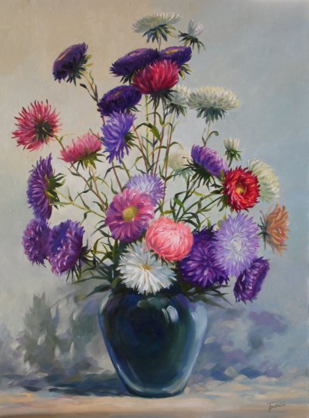 Астры Геншин