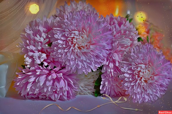 Астра нежная букет