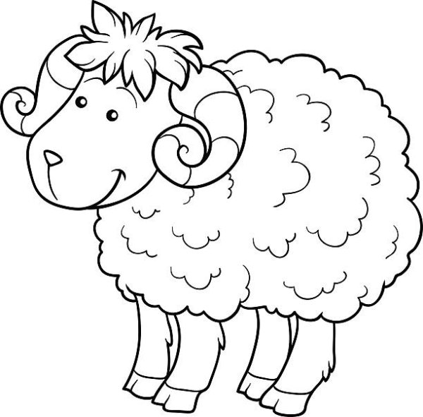 Овечка черно белая