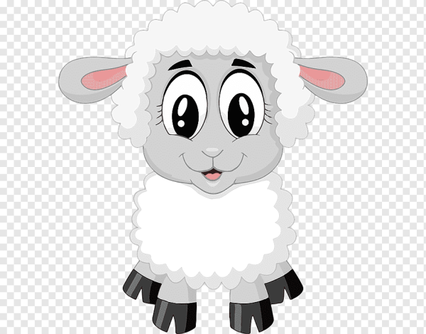 Овца рисунок для детей