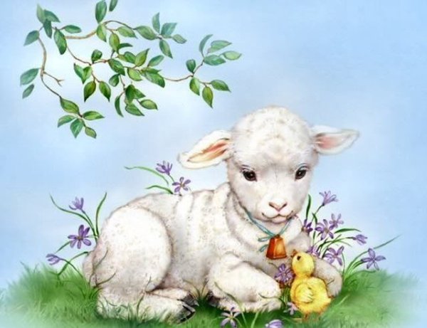 Рисование овцы