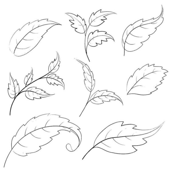 Листочки цветов контур