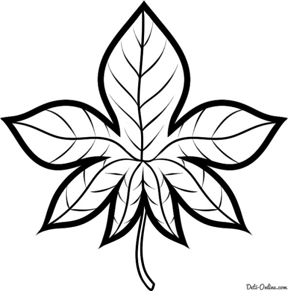 Листочки карандашом для срисовки