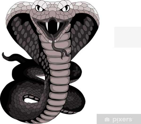 Голова змеи