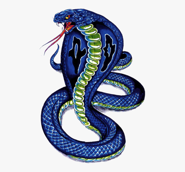 Разноцветная змея