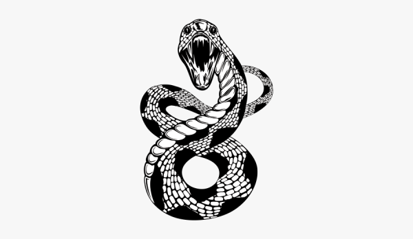 Змея эскиз