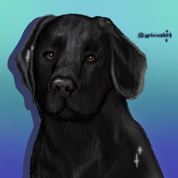 Мультяшный лабрадор черный