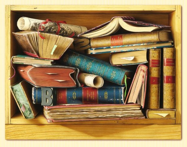 Книжная полка обманка