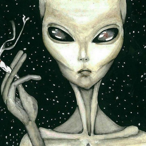 David Gaillet художник