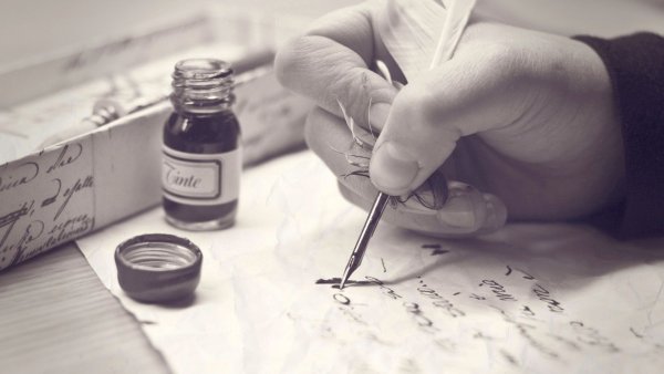 Красивые нежные цветы учителю