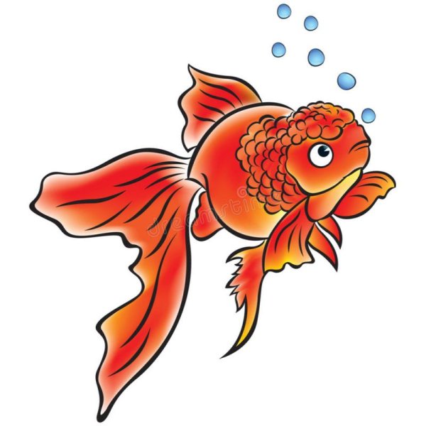 Рыба для детей