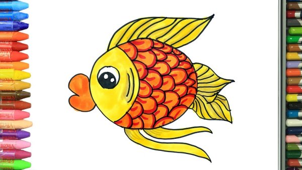 Красивые рыбки для детей