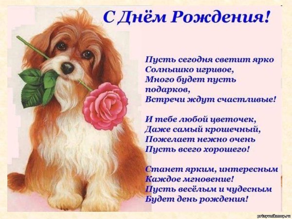 С днём рождения стихи красивые