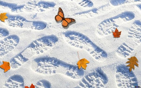 Забавный Снеговик