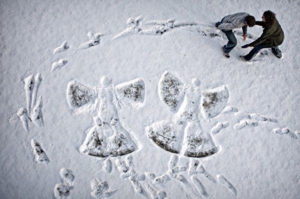 Сердце на снегу