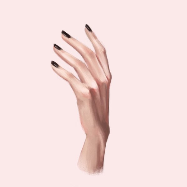 Женская кисть руки