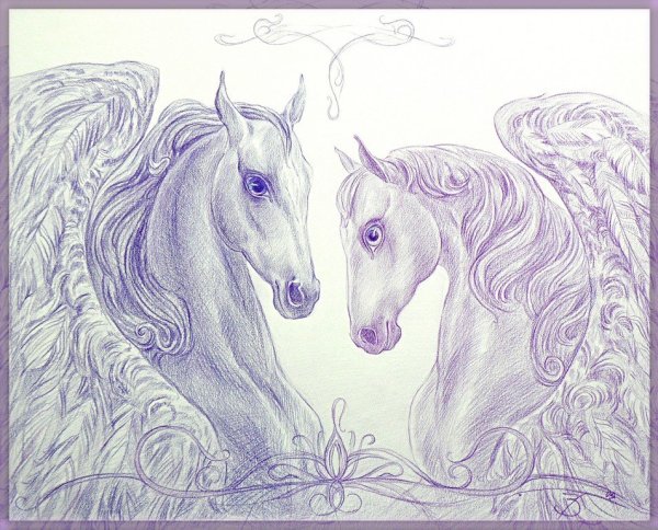 Необыкновенные рисунки