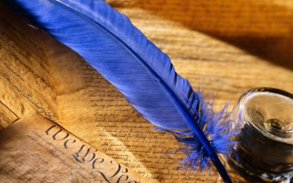 Книга рисунок