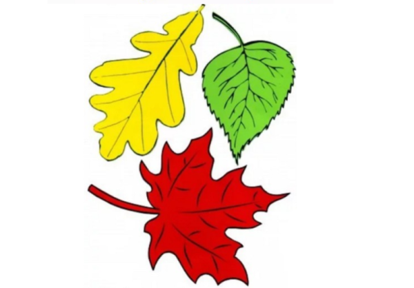 Разноцветные листья для вырезания