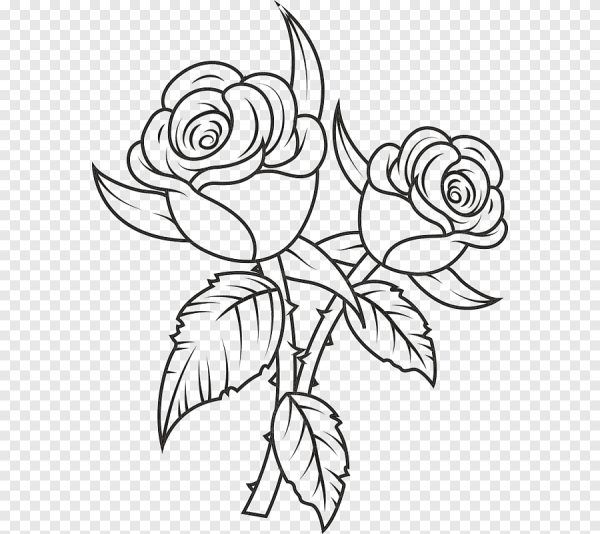 Цветы контур