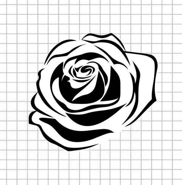 Контурная роза эскиз