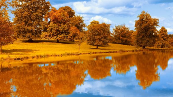 Цыганов Виктор Захарович картины