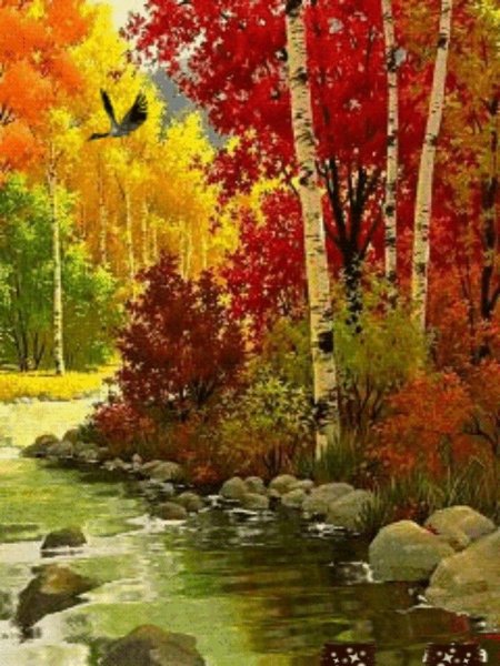 Осенние краски природы